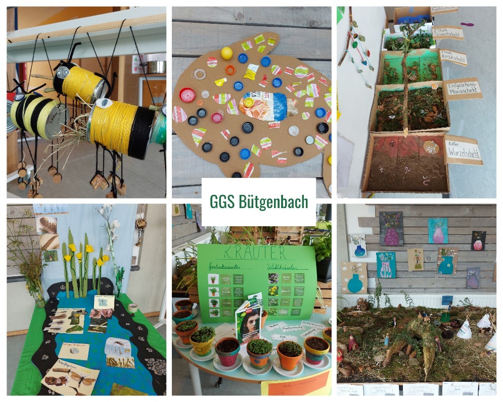Projektwoche Gemeinsame Grundschule Bütgenbach